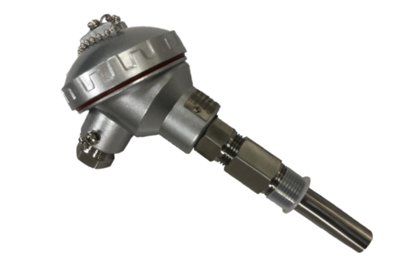 Temperature Sensing Element Difference of RTD and Thermocouple