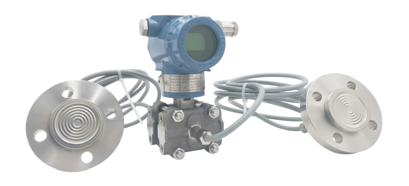 WP3351DP Remote Diaphragm Seal Differential Hydrostatic Pressure Level Transmitter